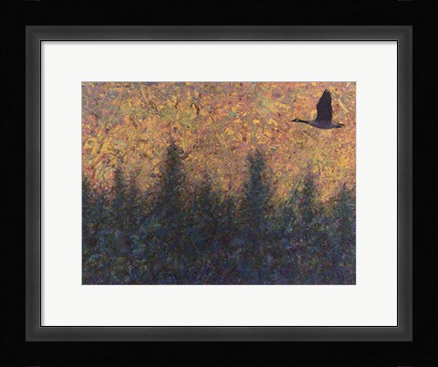 Framed Solitary Goose Print