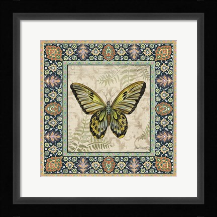 Framed Vintage Butterfly Print