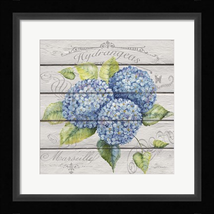 Framed Blue Hydrangeas Print