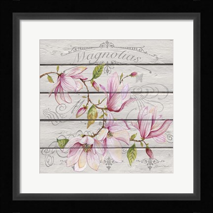 Framed Pink Magnolias I Print