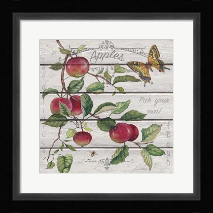 Framed Red Delicious Apples Print