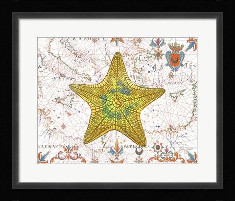 Framed Nautical Treasures-J Print