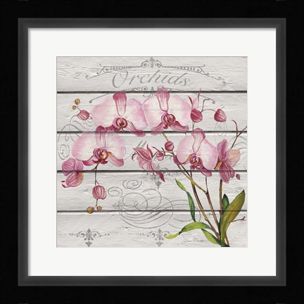 Framed Pink Orchids Print