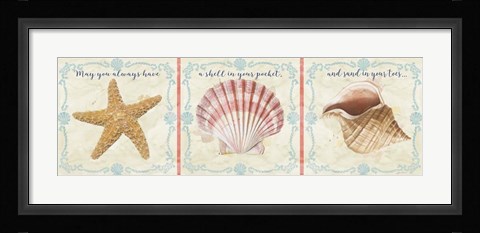 Framed Sea Shells  -  E Print