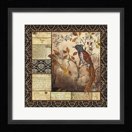 Framed Paradise Flycatcher Collage Print