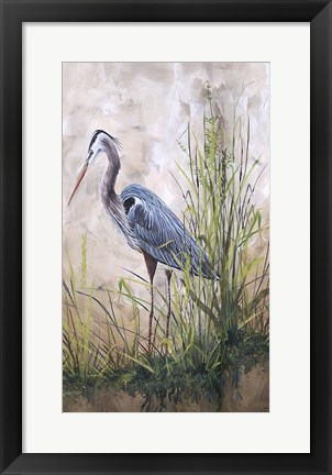 Framed In The Reeds - Blue Heron - B Print
