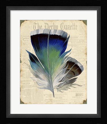 Framed Elegant Feather - A Print