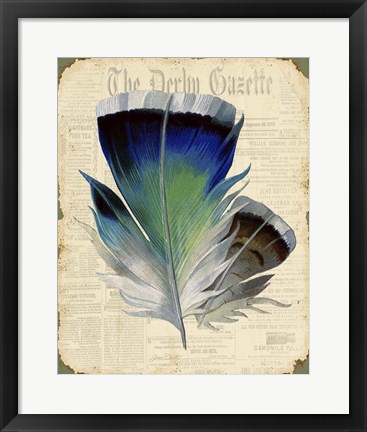Framed Elegant Feather - A Print