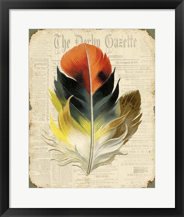 Framed Elegant Feather - C Print