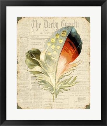 Framed Elegant Feather - E Print