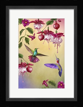 Framed Fuchsias &amp; Hummingbirds Print