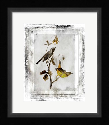 Framed Birds With Class - A Print