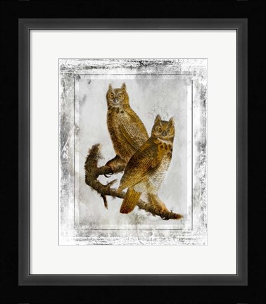 Framed Birds With Class - E Print