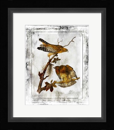 Framed Birds With Class - F Print