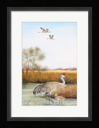 Framed Sandhill Cranes - B Print