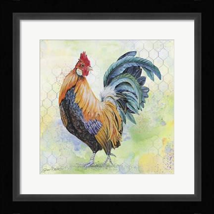 Framed Watercolor Rooster - D Print