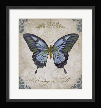 Framed Bleu Papillon - A Print