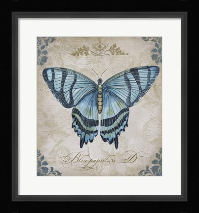 Framed Bleu Papillon - D Print