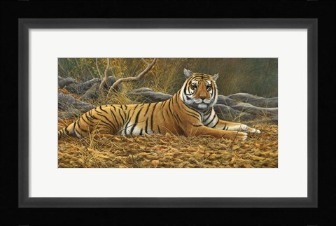 Framed Bengal Tiger Print