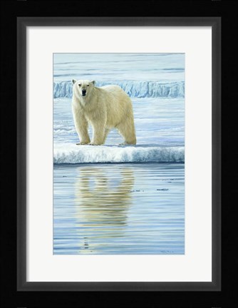Framed Curious Bear Photo Print