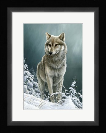 Framed Wolf On The Ridge Print