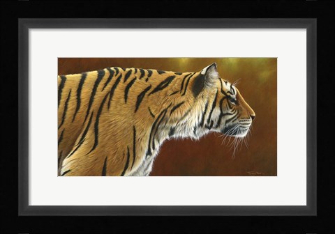 Framed Tense Tiger Print