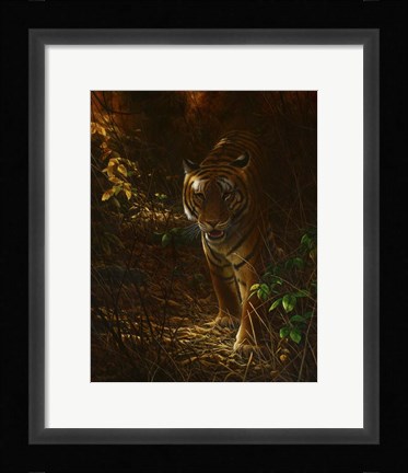 Framed Tiger Odyssey Print