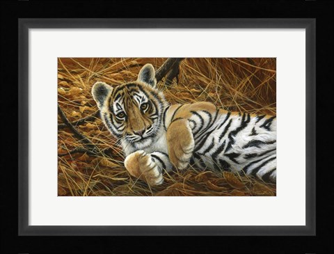 Framed Tiger Cub Print