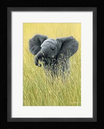 Framed Elephant In The Grass Print