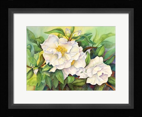 Framed Camellias Print