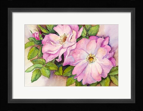 Framed Wild Roses Print