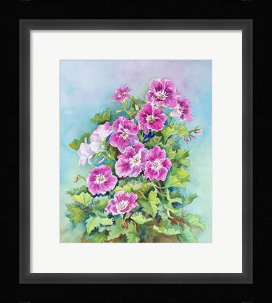 Framed Hot Pink Blush Geraniums Print