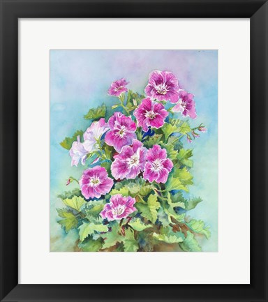 Framed Hot Pink Blush Geraniums Print