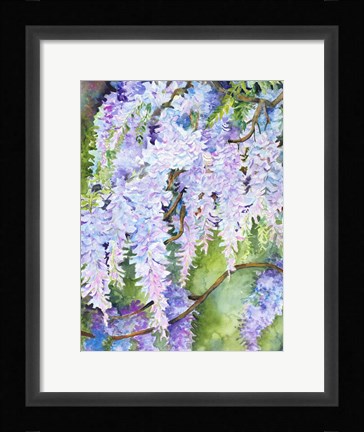 Framed Wisteria Print