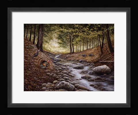 Framed Gobbler Run Print