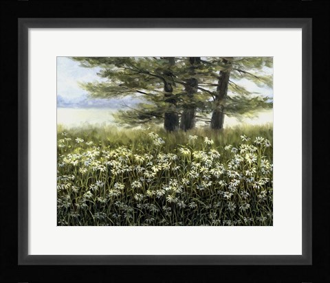 Framed River Daiseys Print