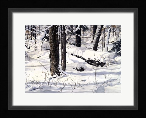 Framed Symphony of Light Print