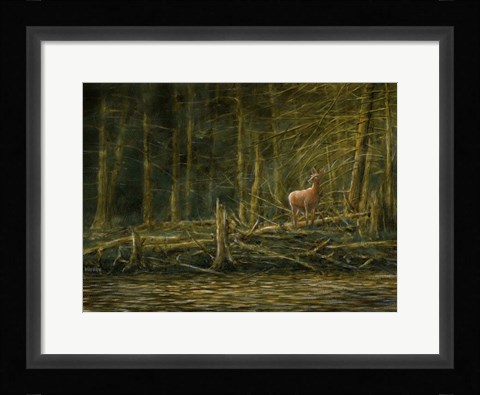 Framed First Light Print