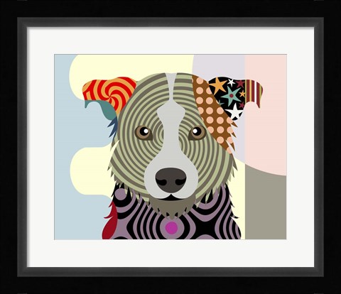 Framed Border Collie Print