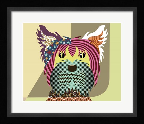 Framed Yorkshire Terrier Dog Print
