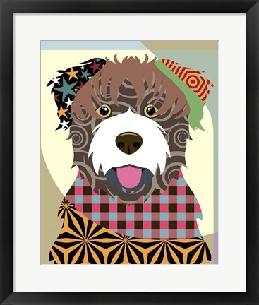 Framed Bouvier Des Flandres Print