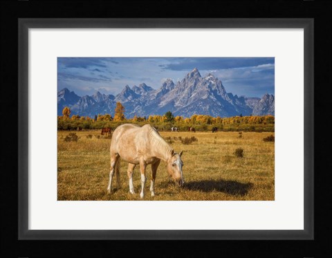 Framed Breakfast in the Tetons Print