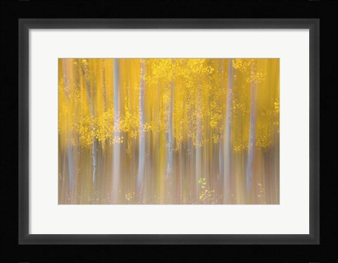 Framed Changing Seasons Print
