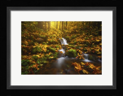 Framed Golden Creek Cascade Print