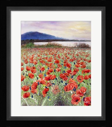 Framed Blooming Poppy 2 Print