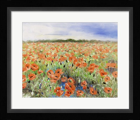 Framed Blooming Poppy 3 Print