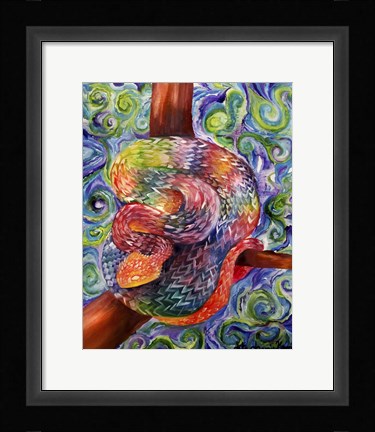 Framed Rainbow Snake Print