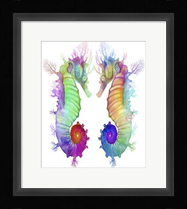 Framed Two Seahorse Print