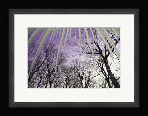 Framed Iceicles Print