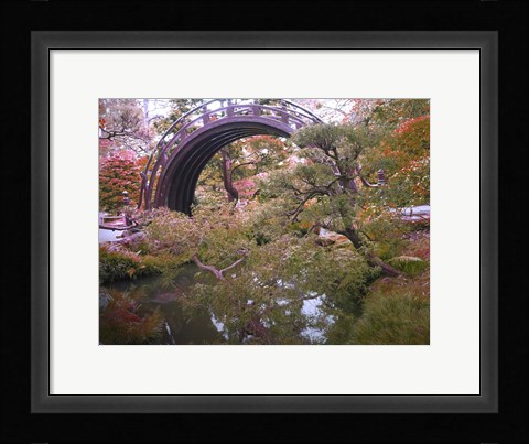 Framed Nature Park Print